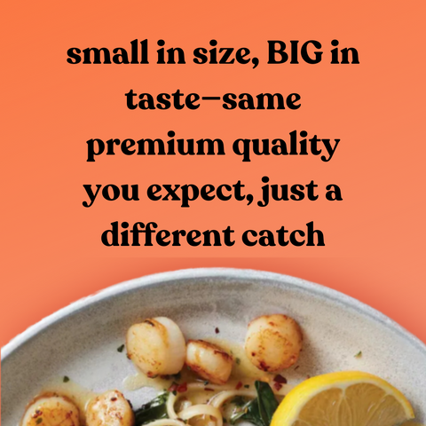 Patagonian Scallops, 12 oz pk