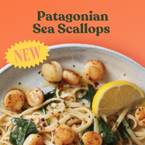 Patagonian Scallops, 12 oz pk