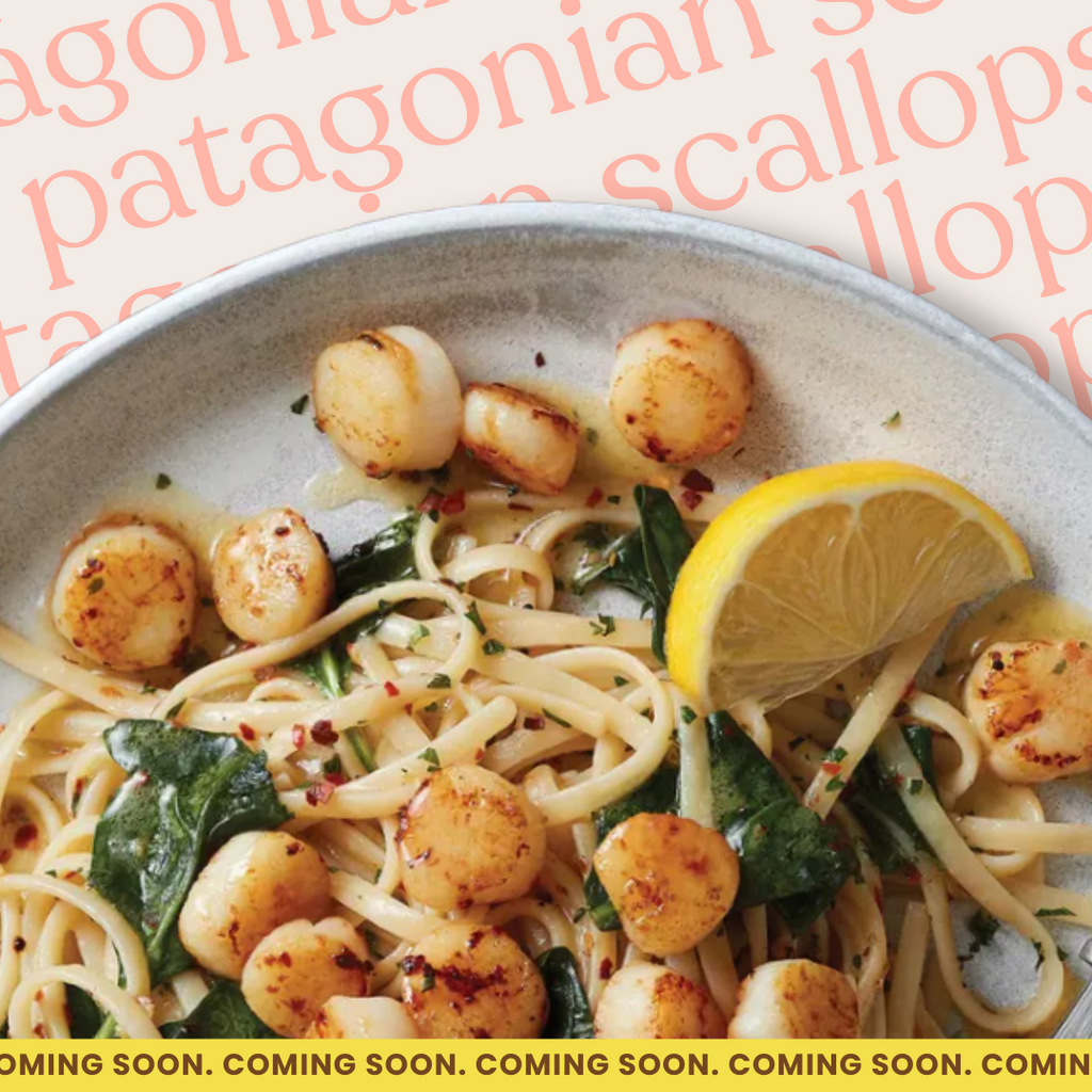 Patagonian Sea Scallops - 1 x 12 oz. pack